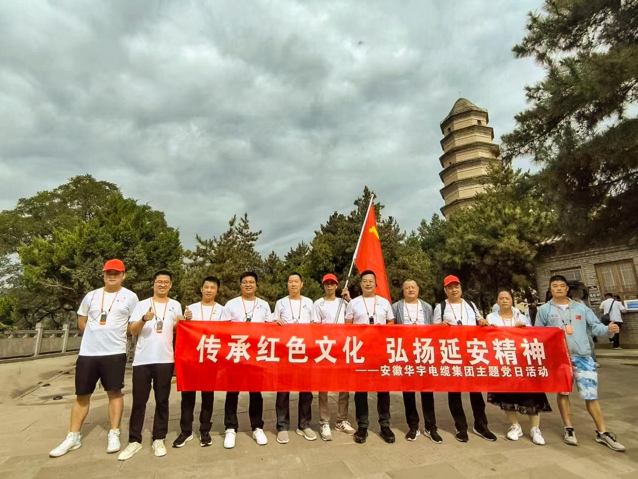               踐行延安精神 筑牢信仰之基 —安徽華宇集團黨支部、無為市工信局黨總支聯(lián)合...
